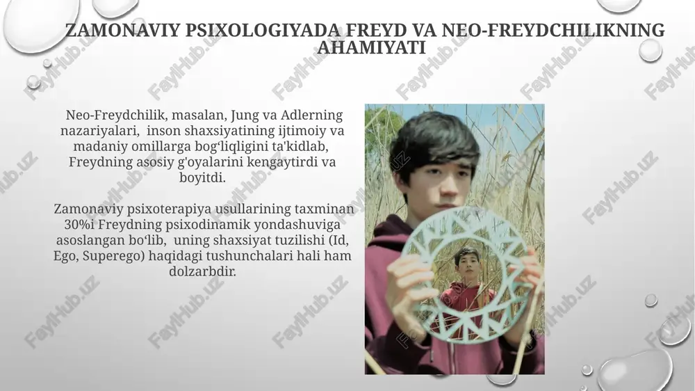 freyd va neofreydshunoslikning zamonaviy ta'siri - Page 4