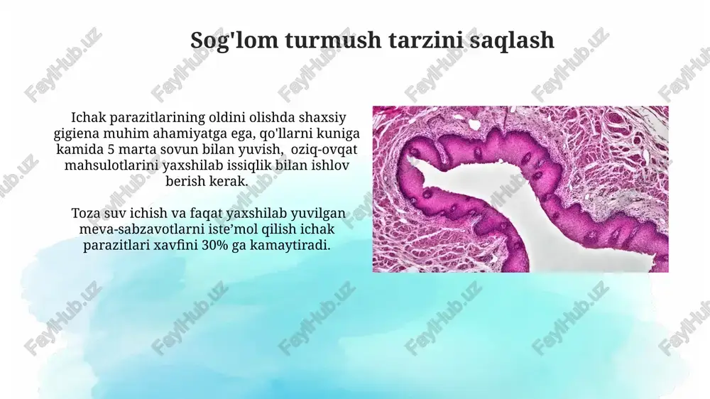 mmo davolanish kursi va dori turi qurt turiga bog'liq. qurtlarning tarqalishi qurtlarning tarqalishi odamdan odamga ifloslangan qo'llar orqali, ayniqsa, gigiena qoidalariga rioya qilinmagan hollarda, 80% gacha hollarda sodir bo'ladi. suv orqali yuqish, ifloslangan suvning ichilishi yoki suv bilan aloqada bo'lgan mahsulotlarni iste'mol qilish orqali, yiliga millionlab odamlarni infektsiyaga uchratishi mumkin. ichak qurtlarining turlari ichak qurtlari orasida 120 dan ortiq tur mavjud bo'lib, ularning aksariyati nematodlar (dumaloq qurtlar), trematodalar (so'rg'ichli qurtlar) va cestodalardan (tasmali qurtlar) iborat. ichak qurtlarining ba'zi turlari, masalan, giardia lamblia (ameba) kabi bir hujayrali parazitlar ham ichak infektsiyalarini keltirib chiqarishi mumkin, bu esa oshqozon-ichak trakti buzilishiga olib keladi. e'tiboringiz uchun rahmat @taqdimot_robot image2.jpg image3.jpg image4.jpg image5.jpg image6.jpg image7.jpg image8.jpg image9.jpg image10.jpg image11.jpg image12.jpg image13.jpg image14.jpg image15.jpg image16.jpg image17.jpg image18.jpg image1.png