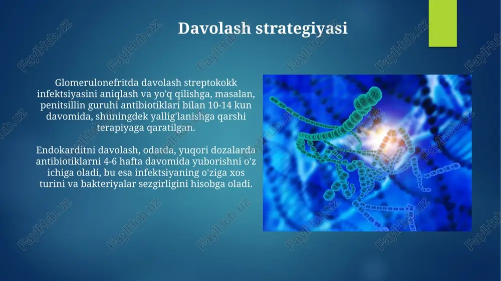 a guruhiga mansub β-gemolitik streptokokklar kabi bakteriyalar muhim rol o'ynaydi, 10-14 kunlik inkubatsiya davridan so'ng post-streptokokk glomerulonefritini keltirib chiqarishi mumkin. yallig‘lanuvchi ichak kasalliklari yik patogenezida disbioz muhim ahamiyatga ega bo‘lib, ichak mikrobiotasidagi foydali bakteriyalar sonining 20% dan ortiq kamayishi va patogen bakteriyalarning ko‘payishi kuzatiladi, bu esa ichak shilliq qavatining shikastlanishiga olib keladi. ba'zi tadqiqotlar shuni ko'rsatadiki, yik bilan og'rigan bemorlarda ichak devorida 5-10 mikrometr diametrli yallig‘lanish o‘choqlari hosil bo‘lib, bu hududlarda antibiotiklarga chidamli bakteriyalar koloniyalari topilgan. bakterial endokardit bakterial endokarditning 50% dan ortiq hollari staphylococcus aureus bakteriyalari tomonidan keltirib chiqariladi, bu esa yuqumli endokarditning eng keng tarqalgan sababi hisoblanadi. infektsion endokarditli bemorlarda qon madaniyatlarida bakteriyalarni aniqlash ehtimoli 85% atrofida bo'lib, tezkor diagnostika va samarali davolash uchun muhim ahamiyatga ega. ulserativ kolitning patogenezi yallig'lanish jarayonida 100 dan ortiq turdagi bakteriyalar, jumladan, escherichia coli, bacteroides fragilis va clostridium difficile kabi patogenlar aniqlangan. ichak shilliq qavatining shikastlanishiga olib keladigan immun tizimining noto'g'ri javobi, …