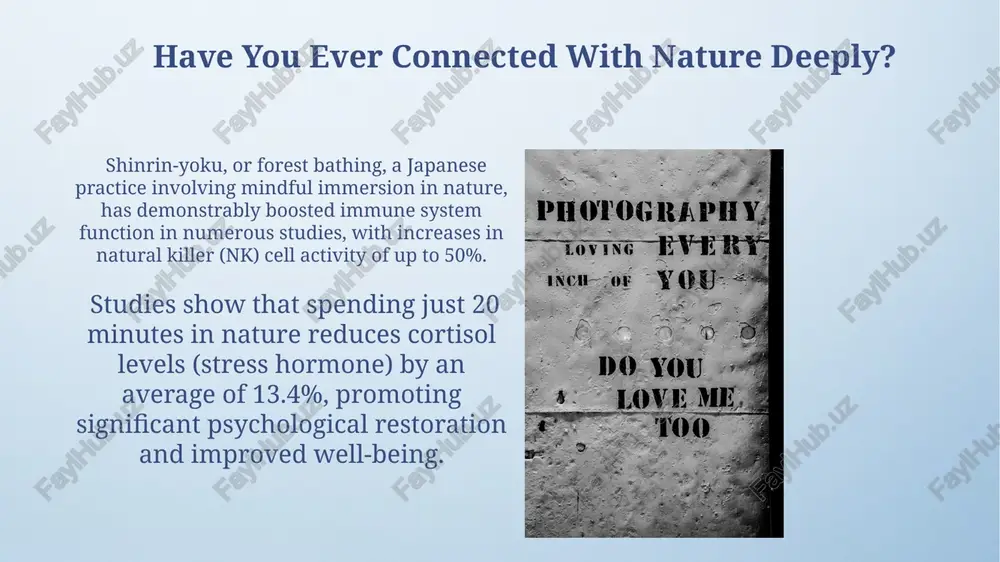 ations, highlighting the complex neural network responsible for cognitive functions and learning itself. thank you for your attention @taqdimot_robot image4.png image5.jpg image6.jpg image7.jpg image8.jpg image9.jpg image10.jpg image11.jpg image12.jpg image13.jpg image14.jpg image15.jpg image16.jpg image3.jpeg