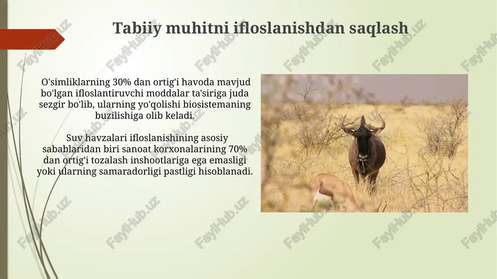 maydoni 2 million gektardan oshadi, bu esa noyob hayvon turlarining himoyasini kuchaytiradi. o'zbekistondagi milliy bog'lar chatqol-qurama davlat tabiiy biosfera rezervati, o'zbekistonning eng yirik qo'riqxonalaridan biri bo'lib, 200 ming gektardan ortiq maydonni o'z ichiga oladi va noyob o'simlik va hayvonot dunyosiga boy. o'zbekistonda 9 ta milliy bog' mavjud bo'lib, ularning umumiy maydoni 5 milliondan ortiq gektarni tashkil etadi, bu mamlakat hududining taxminan 1,5 foizini egallaydi. milliy bog'lar: tushunchasi va vazifalari milliy bog'larning faoliyati ekologik monitoring, ilmiy tadqiqotlar va atrof-muhit ta'limini o'z ichiga oladi, bu esa 5 yillik reja asosida amalga oshiriladi. milliy bog'lar, tabiiy muhitning 10% dan ortiq qismini o'z ichiga olgan yirik himoyalangan hududlar bo'lib, bioxilma-xillikni saqlash va ekoturizmni rivojlantirish vazifalarini bajaradi. hayvonot dunyosini muhofaza qilish tashkilotlari koʻplab milliy parklar va qoʻriqxonalarni boshqaruvchi davlat agentliklari, bioxilma-xillikni saqlashga qaratilgan dasturlarni amalga oshirish bilan birga, brakonyerlikka qarshi kurash va tabiiy resurslardan oqilona foydalanish boʻyicha qonunlarni qoʻllashda muhim rol oʻynaydi. iucn (xalqaro tabiatni …