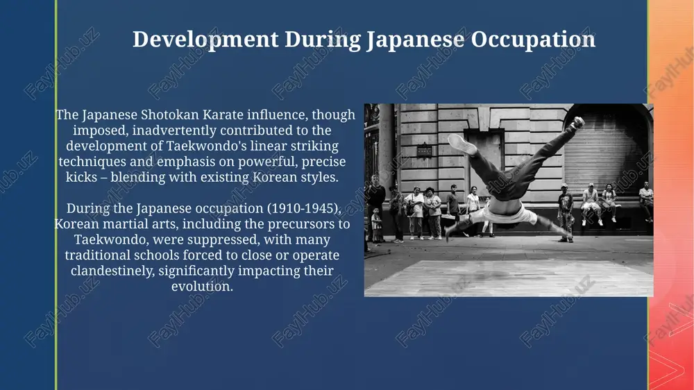history of taekwondo - Page 4