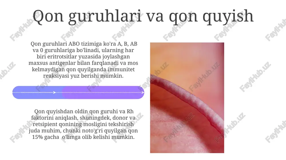 metabolik mahsulotlarni olib tashlashda ishtirok etadi. ichki to'qima muhiti organizm hujayralarining normal faoliyati uchun zarur bo'lgan barqaror kimyoviy va fizikaviy sharoitlarni, masalan, ph 7,35-7,45 oralig'ida saqlashni ta'minlaydi. gematopoetik tizim gematopoetik tizimning normal ishlashi uchun temir, b12 vitamini va folat kislotasi kabi bir qator muhim omillar zarur bo'lib, ularning yetishmasligi anemiya va boshqa kasalliklarga olib kelishi mumkin. gematopoetik hujayralarning differentsiatsiyasi murakkab jarayon bo'lib, unda 3 ta asosiy hujayra liniyasi – eritrotsitlar, leykotsitlar va trombotsitlar hosil bo'ladi. qon va limfa kasalliklari qon kasalliklari, masalan, leykemiya, o'rtacha 5 yillik o'lim xavfini 30% ga oshiradi va 100,000 kishidan 15-20 tasiga ta'sir qiladi. limfa tugunlarining yallig'lanishi (limfadenit) bakterial yoki virusli infektsiyalar natijasida yuzaga keladi va tana haroratining 38°c dan yuqori ko'tarilishi bilan birga keladi. e'tiboringiz uchun rahmat @taqdimot_robot image4.jpg image5.jpg image6.jpg image7.jpg image8.jpg image9.jpg image10.jpg image11.jpg image12.jpg image13.jpg image14.jpg image15.jpg image16.jpg image17.jpg image18.jpg image19.jpg image20.jpg image1.jpeg image2.jpeg image3.jpeg