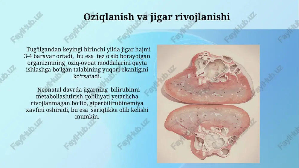 jigarning prenatal va postnatal rivojlanishi - Page 4