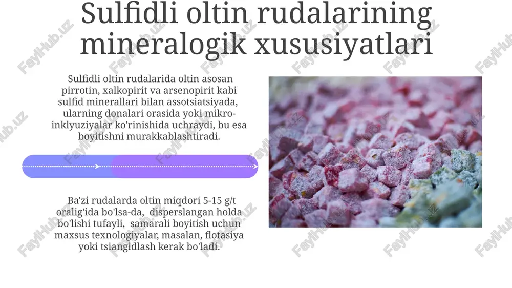 kamsulfidli oltin rudalarini boyitish - Page 4