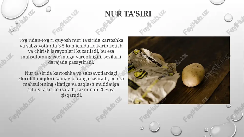 kartoshka va sabzavotlarning buzilishi sabablari - Page 4