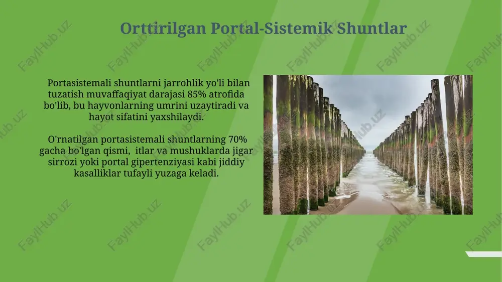 em shuntlarni aniqlashda ultratovush tekshiruvi (uzi) 80% dan ortiq hollarda samarali bo'lib, qon oqimining buzilishini va shuntlarning joylashuvini aniqlash imkonini beradi. diagnostika usullari portasistem shuntlarni diagnostikasi uchun qon plazmasida ammoniy miqdorini aniqlash, jigar funksiyasini baholash va portal bosimni o'lchash kabi usullar qo'llaniladi, bu ko'rsatkichlar 50% dan ortiq shunting holatlarini aniqlashga yordam beradi. ultratovush tekshiruvi (dopler) va kompyuter tomografiyasi (kt) portal tomirlari va vena tizimining anatomik tuzilmalarini, shu jumladan, shunting darajasini aniqlashga yordam beradi, o'rtacha 85% aniqlikka erishiladi. jarrohlik davolash usullari jarrohlik davolash usullaridan biri, portal bosimini pasaytirish uchun 80-90% gacha porto-kavak shuntingini olib tashlashni o'z ichiga oladi, bu esa gepatotsitar disfunksiyaning og'irligini kamaytiradi. transyugulyar intrahepatik portosistemik shunting (tips) protsedurasida, jigar ichidagi qon oqimini o'zgartirish uchun 6-10 mm diametrli stent qo'yiladi, bu esa portal gipertenziyasini kamaytiradi. e'tiboringiz uchun rahmat @taqdimot_robot image1.jpg image2.jpg image3.jpg image4.jpg image5.jpg image6.jpg image7.jpg image8.jpg image9.jpg image10.jpg image11.jpg image12.jpg image13.jpg image14.jpg image15.jpg image16.jpg image17.jpg