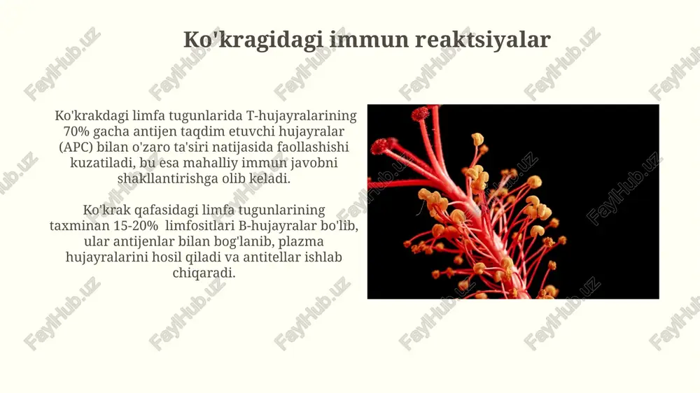periferik immun va gemopoetik sistema - Page 4