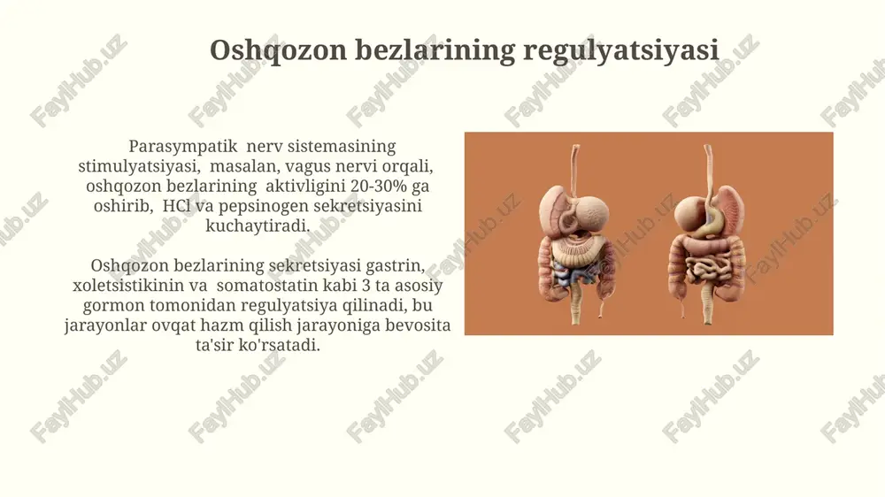 i. oshqozon saratoni oshqozon saratonining eng keng tarqalgan turi – adenokarsinoma bo'lib, umumiy holatlarning taxminan 90-95% ini tashkil etadi. helicobacter pylori infektsiyasi oshqozon saratoni xavfini 6 barobarga oshiradi, shuning uchun profilaktik tekshiruvlar muhim ahamiyat kasb etadi. xlorid kislotaning roli hcl, oshqozon shilliq qavatining himoya mexanizmlarini faollashtirib, helicobacter pylori bakteriyalarining ko'payishini bostiradi va shuningdek, ba'zi oziq-ovqatlarni hazm qilishda yordam beradi. xlorid kislotaning asosiy vazifasi oshqozon phini 1,5-3,5 oralig'ida saqlash bo'lib, bu oqsillarni denaturatsiyasi va pepsinogenning faol pepsin fermentga aylanishi uchun zarur shart-sharoit yaratadi. mukus hujayralar va ularning funksiyalari mukoza hujayralarining sekretsiyasi prostaglandinlar kabi sitokinlar ta'siriga bog'liq bo'lib, ularning faoliyatini tartibga soladi va yallig'lanish jarayonlariga ta'sir qiladi. mukoza hujayralari (mukotsitlar) me'da devorining epitelial qatlamida joylashgan bo'lib, kuniga taxminan 1-1,5 litr shilliq modda ishlab chiqaradi. e'tiboringiz uchun rahmat @taqdimot_robot image2.jpg image3.jpg image4.jpg image5.jpg image6.jpg image7.jpg image8.jpg image9.jpg image10.jpg image11.jpg image12.jpg image13.jpg image14.jpg image15.jpg image16.jpg image17.jpg image18.jpg