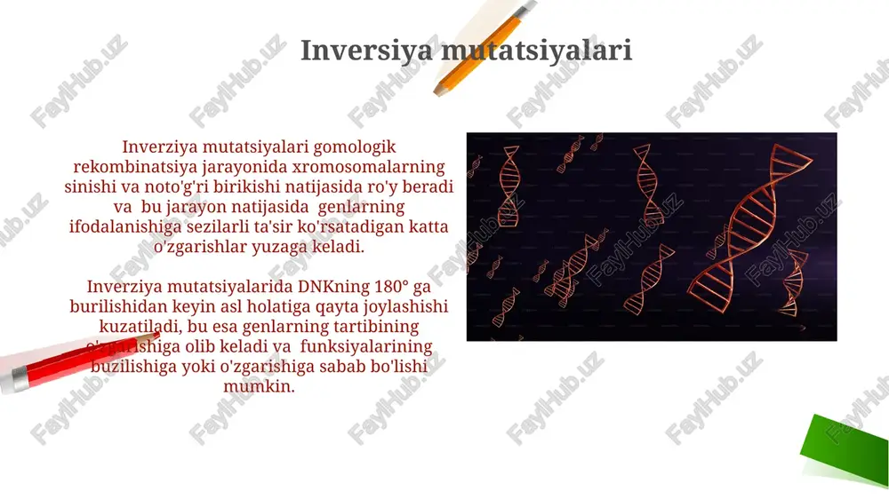 paydo bo'ladi. ular missens, nonsens yoki jim mutatsiyalar bo'lishi mumkin, ularning har biri oqsil funksiyasiga turlicha ta'sir qiladi. o'zgarish mutatsiyalari o'zgarish mutatsiyalarining chastotasi turli omillarga, jumladan, dnkni replikatsiya qilishdagi xatolarga, mutagenlar ta'siriga va dnk ta'mirlash mexanizmlarining samaradorligiga bog'liq bo'lib, taxminan 100000 ta nukleotidga 1 ta mutatsiya nisbati kuzatiladi. o'zgarish mutatsiyalari dnkning 1-100 nukleotidlarini o'z ichiga olgan kichik miqyosdagi o'zgarishlar bo'lib, ular nuqta mutatsiyalari, qo'shilishlar yoki o'chirish kabi turli xil mexanizmlar orqali yuzaga keladi. genlar va xromosomalar xromosomalar esa genlarni o'z ichiga olgan uzun dnk molekulalari bo'lib, odamda 23 juft, ya’ni 46 ta xromosoma mavjud. genlar dnkning ma’lum bir qismidir va o'rtacha 1000-2000 nukleotid juftligidan iborat bo'lib, o'ziga xos xususiyatlarni aniqlaydigan oqsillarni kodlaydi. mutatsiyalar va evolyutsiya neytral mutatsiyalar fenotipga sezilarli ta'sir ko'rsatmaydi, ammo ular genetik xilma-xillikni oshirib, populyatsiyaning kelajakdagi evolyutsion o'zgarishlariga zamin yaratadi va bu jarayon millionlab yillar davom etishi mumkin. evolyutsiya jarayonida foydali mutatsiyalar tabiiy tanlanish orqali to'planib, yangi xususiyatlar …