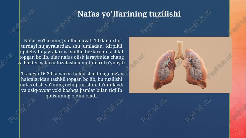 nafas olish azolarining tuzilishi - Page 4