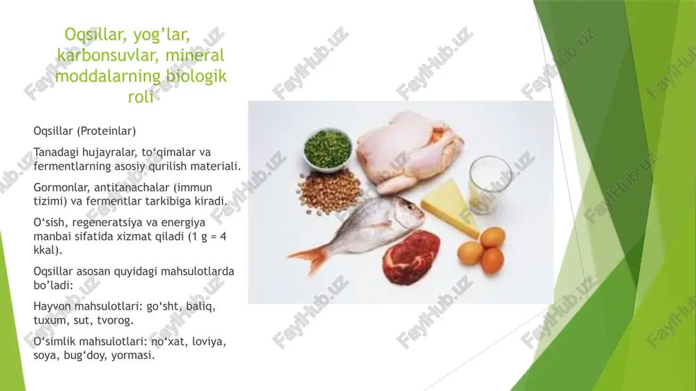 asosiy ozuqaviy moddalar-oqsillar yog'lar - Page 4