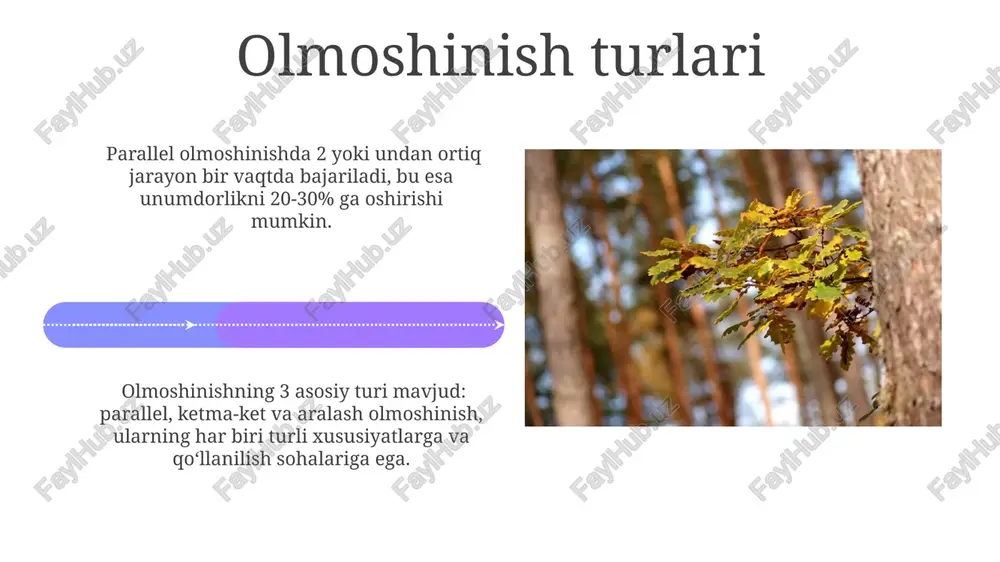 olmoshining xususiyatlari va turlari - Page 4