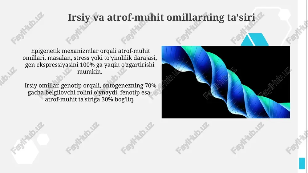 ontogenezning rivojlanish xususiyatlari - Page 4