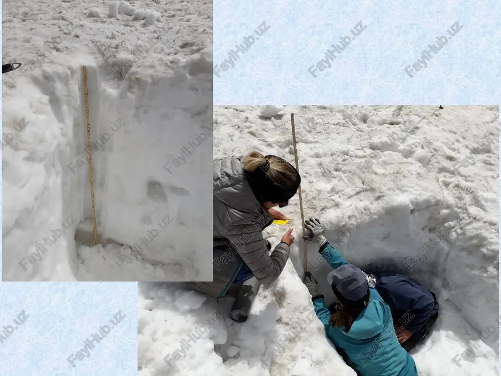 kunda 0,5 m dan oshmaydi, eng katta tezlik (10-40 m/kun) grenlandiya muzliklarida o'lchangan. yoz oylarida qishdagiga nisbatan, kunduz kunlari esa tungi soatlarga nisbatan tez harakatlanadi. agarda muzlik tubi relefi va yuzasi qirqimida (profilida) keskin o'zgarishlar bo'lsa, unga muzlikning elastikligi bardosh bera olmaydi va natijada, muzlikda chuqur yoriqlar hosil bo'lishi mumkin. o'rta osiyo muzliklarida bunday yoriqlar juda ko'p va ular muzshunos-glyatsiolog tadqiqotchilar hamda tog' sayohatchilari hayoti uchun juda xavflidir. muzliklar, ularning hosil bo'lishi, turlari, rejimi muzlik er sirtining musbat muvozanatli qismida hosil bo'ladi. u harakatga kelib, qor chizig'ini kesib o'tadi va manfiy muvozanatli qismga kiradi. u erda erish boshlanadi. demak, har qanday muzlikda quyidagi ikki xarakterli qism mavjud bo'ladi (3 - rasm): muzlikning to'yinish qismi - firn oblasti va muzlikning sarf bo'lishi - abiyatsiya oblasti yoki muzlik tili. 3-rasm. vodiy turidagi muzlik (oddiy bir oqimli muzlik) firn chizig'i to'yinish qismi bilan sarf bo'lish qismi o'rtasidagi chegara firn chizig'i deb ataladi. muzlik …