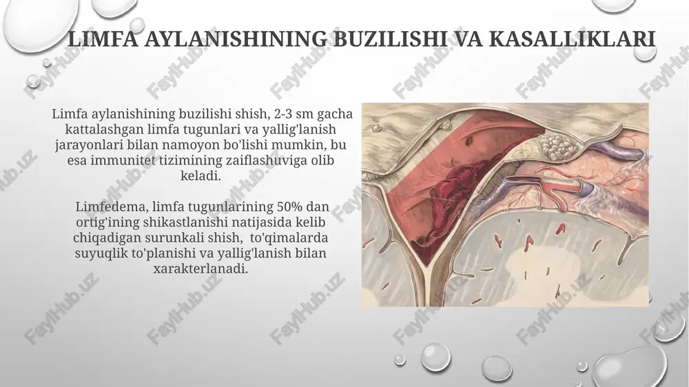 limfaning hosil bôlishi, tarkibi va vazifalari - Page 4