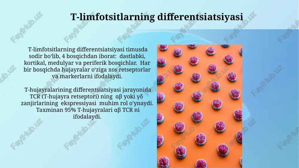 limfositopoezning xususiyatlari - Page 4