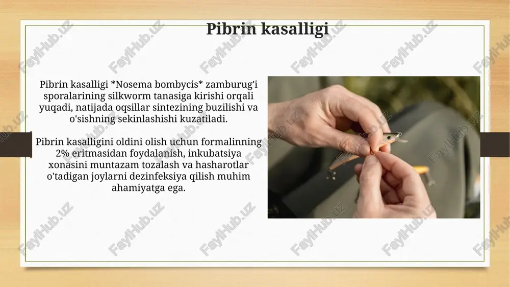 tut ipak qurti kassalliklari va ularni oldini olish choralari - Page 4