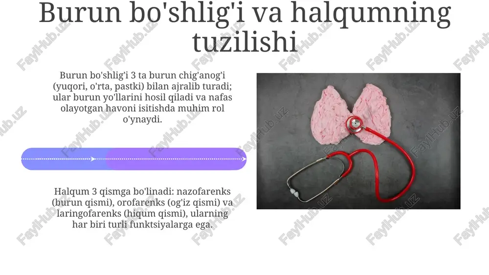 nafas olish a’zolari anatomik tuzilishi va zamonaviy tekshirish usullari - Page 4