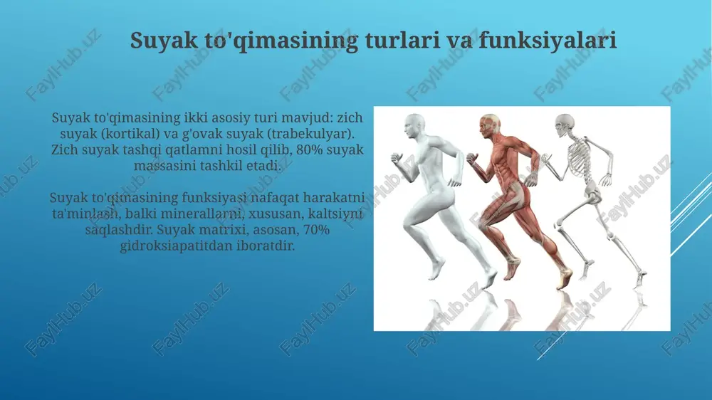 ng klinik ahamiyati suyak sinishlari va ligament shikastlanishlari og'riq, harakat cheklanishi va 2-bosqich osteoartritga olib kelishi mumkin, diagnostika esa rentgen va mri kabi usullarni o'z ichiga oladi. ligament yorilishi 1-darajadan 3-darajagacha bo'lishi mumkin, 3-darajali yorilishlar jarrohlik aralashuvini talab qilishi mumkin, davolash esa rice (dam olish, muz, kompressiya, balandlik) protokollarini o'z ichiga oladi. e'tiboringiz uchun rahmat image2.jpg image3.jpg image4.jpg image5.jpg image6.jpg image7.jpg image8.jpg image9.jpg image10.jpg image11.jpg image12.jpg image13.jpg image14.jpg image15.jpg image16.jpg