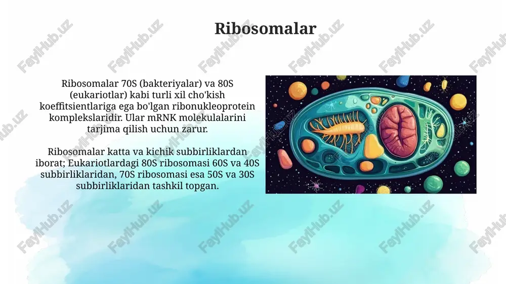 hujayraning membranasiz organoidlari - Page 4