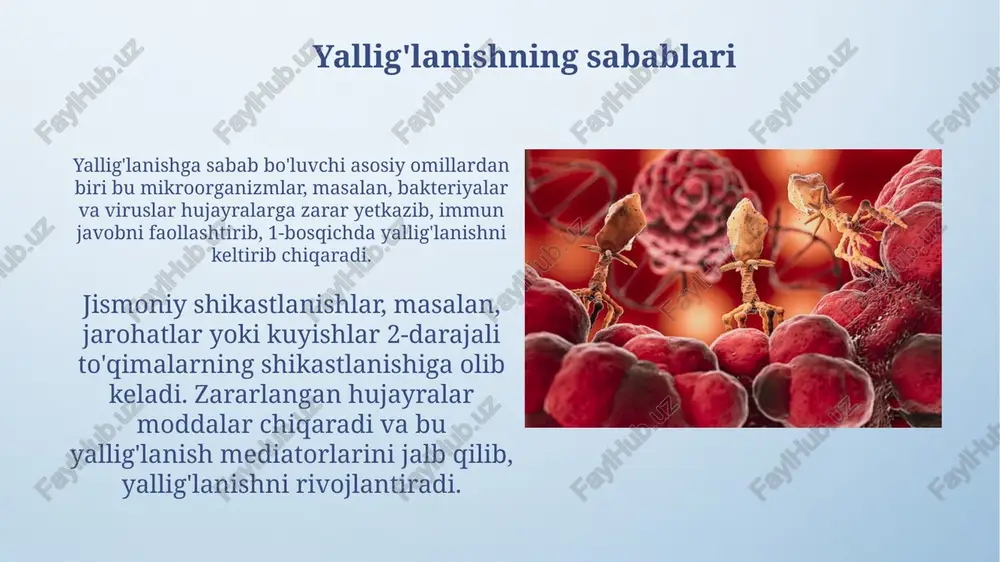orasida mycobacterium tuberculosis kabi persistent mikroorganizmlar va begona jismlar muhim rol o'ynaydi, ularga nisbatan immunitet reaksiyasi rivojlanadi. yallig'lanishning hal etilishi va tiklanishi yallig'lanishning hal etilishi 5-lipooxygenase orqali lipoksinlar kabi maxsus pro-hal qiluvchi mediatorlar sintezini o'z ichiga oladi, bu esa neytrofillarning infiltratsiyasini kamaytiradi. yallig'lanish jarayonida hal etilish degradatsiyalovchi fermentlar, masalan, matrix metalloproteinazalar (mmp) ishlab chiqarishni o'z ichiga oladi, ular ecmni qayta tuzishga yordam beradi. yallig'lanishning asoratlari surunkali yallig'lanish fibrozga olib kelishi mumkin, bunda kollagenning haddan tashqari cho'kishi organlarning funksiyasini buzadi, masalan, o'pka fibrozida gaz almashinuvi 50% gacha kamayishi mumkin. yallig'lanish jarayoni davomida hosil bo'lgan reaktiv kislorod turlari (ros) dnkga zarar yetkazishi mumkin, bu esa hujayra mutatsiyasiga va keyinchalik saraton kasalligining rivojlanish xavfini 30% ga oshiradi. e'tiboringiz uchun rahmat image4.png image5.png image6.jpg image7.jpg image8.jpg image9.jpg image10.jpg image11.jpg image12.jpg image13.jpg image14.jpg image15.jpg image16.jpg image17.jpg image18.jpg image19.jpg image20.jpg image3.jpeg