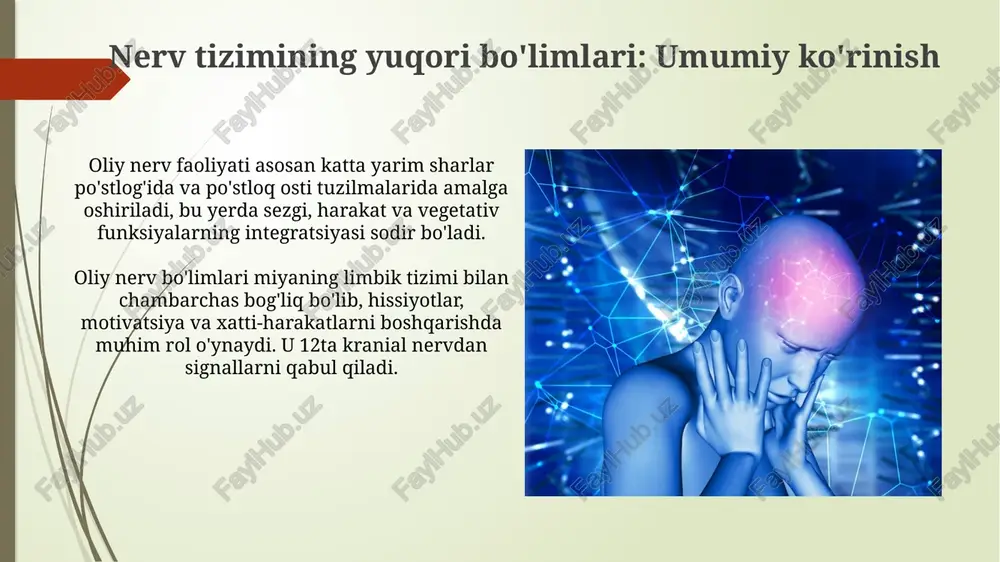 , masalan, diqqatni jamlashning qiyinlashishi, rejalashtirishdagi kamchiliklar va inhibisyon nazoratining yo'qligi, ko'pincha prefrontal korteks shikastlanishi bilan bog'liq. afaziya, tilni tushunish va ifodalash qobiliyatining buzilishi, odatda miyaning chap yarim shari, jumladan, broka va verenike sohalarining shikastlanishi natijasida yuzaga keladi. xulosa xulosa, nerv tizimining yuqori bo'limlarining funksiyalari haqidagi taqdimotni yakunlar ekan, asosiy topilmalarni 2-3 ta asosiy fikrlarga qisqartirishi kerak. xulosa bo'limida asosiy tushunchalar, masalan, 5 ta asosiy miya bo'limining rollari va ular o'rtasidagi o'zaro ta'sirlarni takrorlang, lekin qisqaroq formatda keltiring. e'tiboringiz uchun rahmat image2.jpg image3.jpg image4.jpg image5.jpg image6.jpg image7.jpg image8.jpg image9.jpg image10.jpg image11.jpg image12.jpg image13.jpg image14.jpg image15.jpg image16.jpg image17.jpg image18.jpg