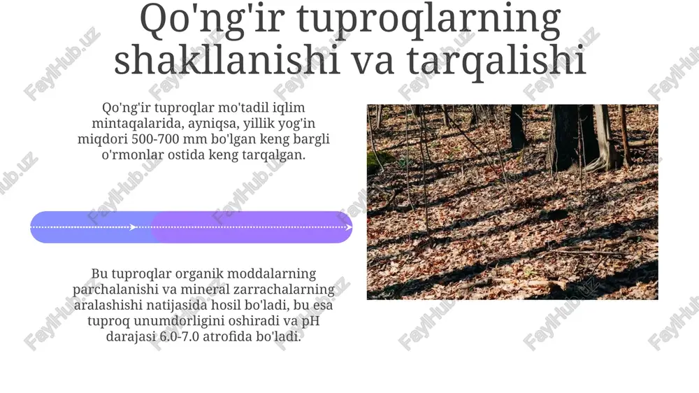 keng bargli oʻrmonlarning qoʻngʻir tusli tuproqlari - Page 4