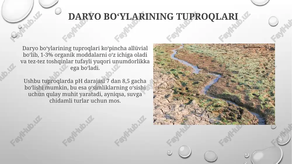 quruq dasht zonasining tuproqlari - Page 4