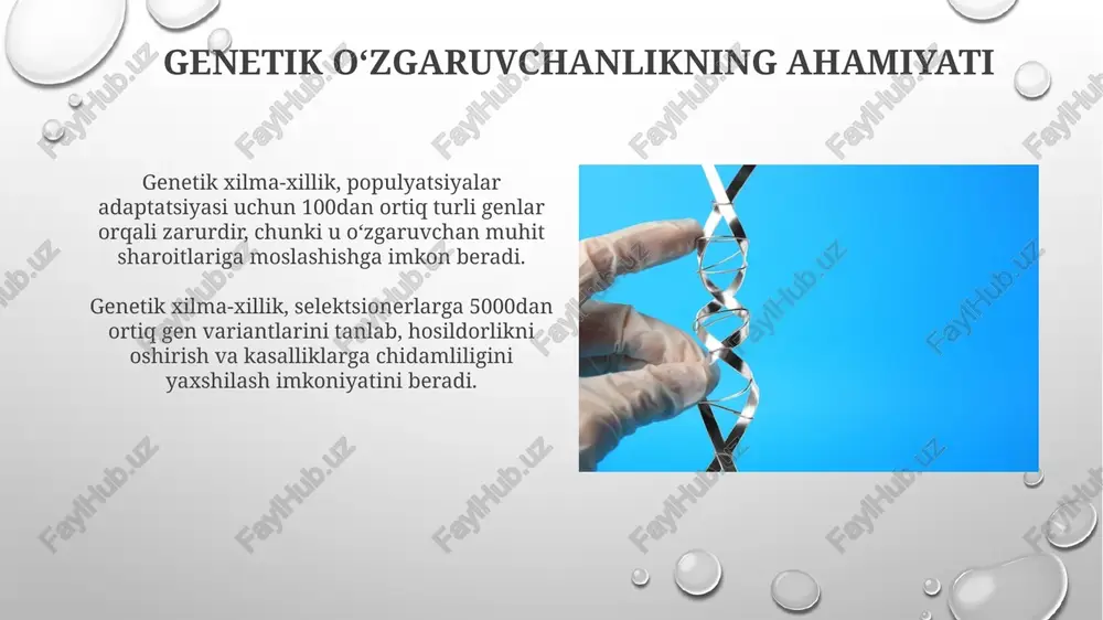 aqlaydi. xulosa va kelajak yoʻnalishlari genetik xilma-xillikni tahlil qilish orqali kasalliklarga chidamlilik genlarini aniqlash 2.0 rivojlantirish, ekinlar hosildorligini 15% oshirish va global oziq-ovqat xavfsizligini ta’minlash imkoniyatini yaratadi. keyingi tadqiqotlar genetik tahrirlashning crispr-cas9 texnologiyasini 3.0 qo‘llash orqali irsiy kasalliklarni 10% kamaytirishga va individual davolash usullarini 25% yaxshilashga qaratilishi kerak. e'tiboringiz uchun rahmat image2.png image5.jpg image6.jpg image7.jpg image8.jpg image9.jpg image10.jpg image11.jpg image12.jpg image13.jpg image14.jpg image15.jpg image16.jpg image17.jpg image18.jpg image19.jpg image3.png