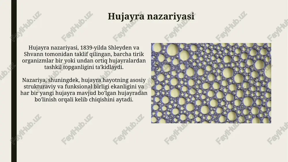 boʻlinish roʻy beradi. mitotik boʻlinish (m faza) profaza, metafaza, anafaza va telofaza bosqichlaridan oʻtadi, bunda xromosomalar ajralib, ikkita yangi qiz hujayralar hosil qiladi. hujayra ixtisoslashuvi va toʻqimalar hujayralar ixtisoslashuvi natijasida turli to'qimalar hosil bo'ladi, masalan, nerv to'qimasi neyronlardan iborat bo'lib, elektr signallarini 120 m/s tezlikda uzatadi. epiteial to'qima hujayralari zich joylashgan bo'lib, tananing tashqi yuzasini va ichki organlarini qoplaydi, himoya vazifasini bajaradi va sekret hosil qiladi, masalan, oshqozon shirasini 2-3 litr. hujayra tuzilishini oʻrganish usullari mikroskopiya usullari, jumladan, yorugʻlik mikroskopiyasi 1500x kattalashtirish imkonini beradi, hujayralarni kuzatishda keng qoʻllaniladi va ularning asosiy tuzilishini aniqlashga yordam beradi. elektron mikroskopiya 1,000,000x gacha kattalashtirishni ta'minlaydi va hujayra ichidagi ultra tuzilmalarni, masalan, ribosomalar va membranalar tuzilishini yuqori aniqlikda o'rganishga imkon beradi. e'tiboringiz uchun rahmat image2.jpg image3.jpg image4.jpg image5.jpg image6.jpg image7.jpg image8.jpg image9.jpg image10.jpg image11.jpg image12.jpg image13.jpg image14.jpg image15.jpg image16.jpg image17.jpg image18.jpg