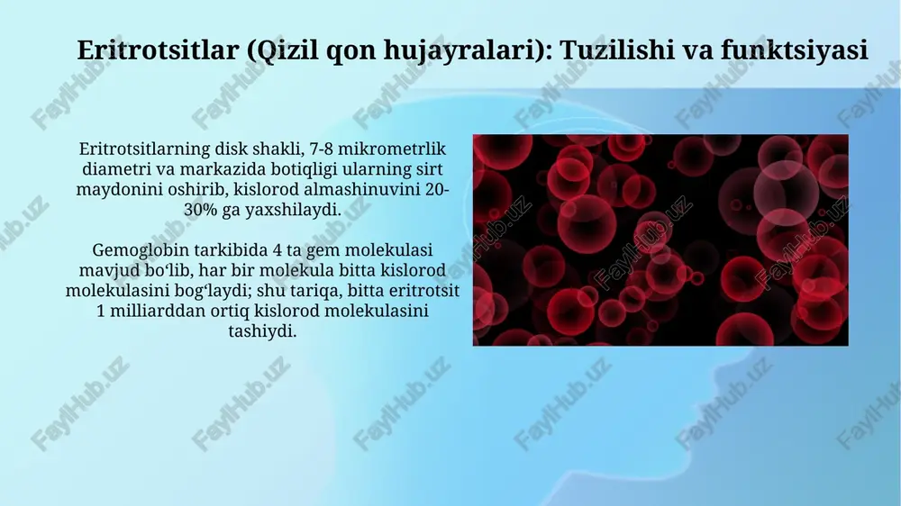 qonning shakli elementlari - Page 4