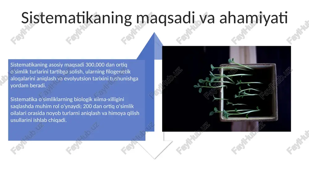 , alkaloidlar, terpenoidlar) o'rganish orqali farmakologiya va tibbiyotda yangi dorilar topish uchun foydalaniladi, bu esa 1000lab potensial davolash vositalarini aniqlashga imkon beradi. sistematikadagi zamonaviy tendensiyalar dnk barcodingning keng qo'llanilishi, 600-800 bazis juftlikli standart dnk segmentlaridan foydalanib, tur identifikatsiyasini tezlashtirib, 100 minglab namunani tahlil qilish imkonini beradi. filogenomika evolyutsion munosabatlarni aniqlash uchun butun genom ma'lumotlaridan foydalanadi, bu esa 95% gacha aniqlik darajasiga erishishga yordam beradi, klassik morfologik usullardan ustun turadi. xulosa xulosa, o'simliklar sistematikasida, evolutsion munosabatlarni tahlil qilib, filogenetik daraxtlar orqali 20,000 dan ortiq o'simlik turini umumlashtiradi. o'simliklar sistematikasi, morfologik va molekulyar ma'lumotlar yordamida, o'simliklar taksonomiyasini aniqlaydi, 300 dan ortiq oilaga tasniflaydi va ularning xususiyatlarini ta'riflaydi. e'tiboringiz uchun rahmat image5.jpg image6.jpg image7.jpg image8.jpg image9.jpg image10.jpg image11.jpg image12.jpg image13.jpg image14.jpg image15.jpg image16.jpg image17.jpg image18.jpg image4.png image19.jpg image20.jpg image21.jpg image1.jpeg image2.jpeg