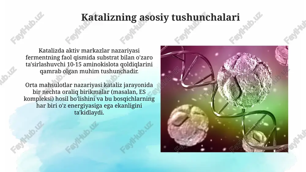 un bog'lanib, ferment bilan bog'lanish uchun raqobatlashadi, bu km qiymatini oshiradi, ammo vmax o'zgarmaydi. kofaktorlar va koenzimlar kofaktorlar inorganik ionlar (masalan, fe2+, mg2+, zn2+) bo'lishi mumkin, ular fermentning faol joyiga bog'lanib, 3d konfiguratsiyasini barqarorlashtiradi va substrat bog'lanishini osonlashtiradi. koenzimlar, odatda vitaminlardan hosil bo'lgan organik molekulalardir (masalan, nad+ niatsindan), ular vaqtinchalik substratlar sifatida ishlaydi va fermentativ reaksiyalar davomida kimyoviy guruhlarni tashishi mumkin. enzimatik katalizning qo'llanilishi enzimatik kataliz oziq-ovqat sanoatida keng qo'llaniladi, masalan, laktozani gidrolizlab, sut mahsulotlarini 70% gacha hazm qilishni osonlashtiradi va shirinlikni oshiradi. farmatsevtika sohasida enzimlar turli xil dorilar sintezida qo'llaniladi, masalan, penitsillinni ishlab chiqarishda penitsillin amidazasi 90% gacha samaradorlikni ta'minlaydi. xulosa va istiqbollar kelajakda 3d modellashtirish va kompyuter simulyatsiyalari fermentlar katalitik mexanizmlarini chuqurroq tushunishga va yangi katalizatorlarni loyihalashga yordam beradi. enzim katalizining nozik jihatlarini aniqlash uchun zamonaviy spektroskopik usullar, masalan, femtosekundli spektroskopiya, kimyoviy reaktsiyalarning real vaqtda kuzatilishini ta'minlaydi. e'tiboringiz uchun rahmat image2.png image3.jpg image4.jpg image5.jpg image6.jpg image7.jpg image8.jpg image9.jpg …