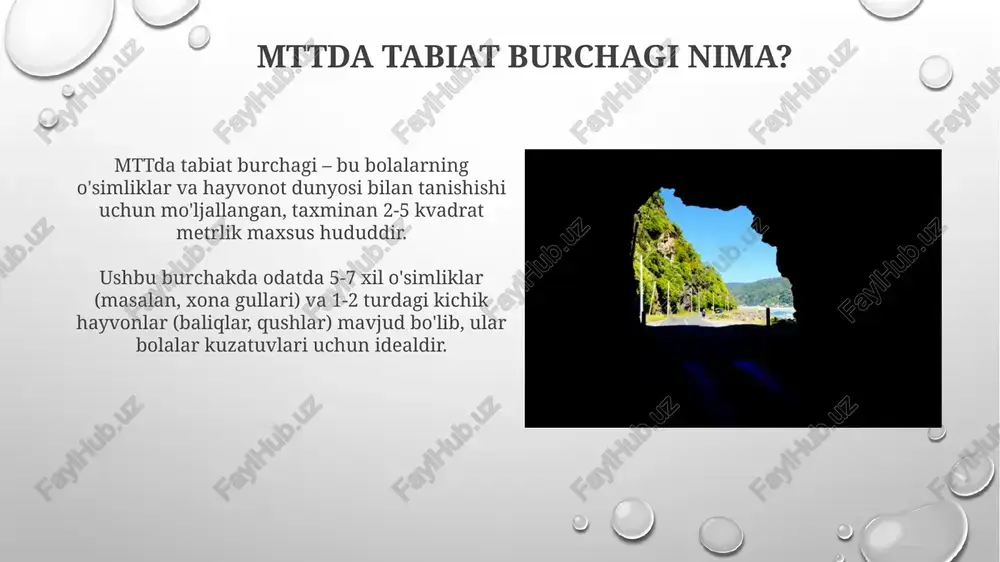 tabiat burchagini tashkil etish - Page 4