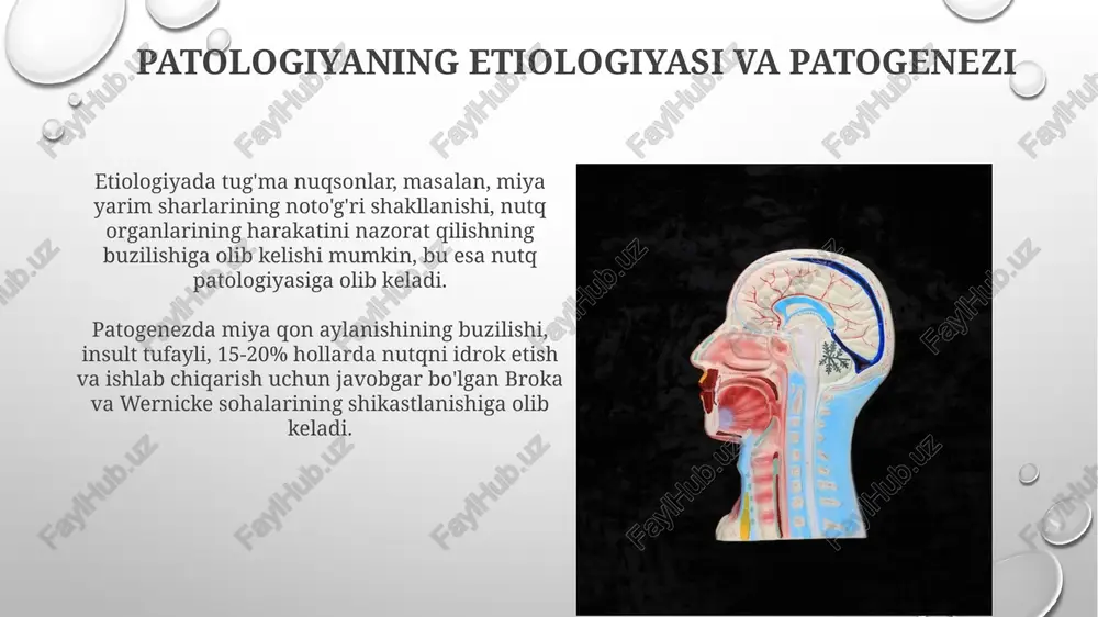 nutq organlari: markaziy asab tizimi patologiyalari - Page 4