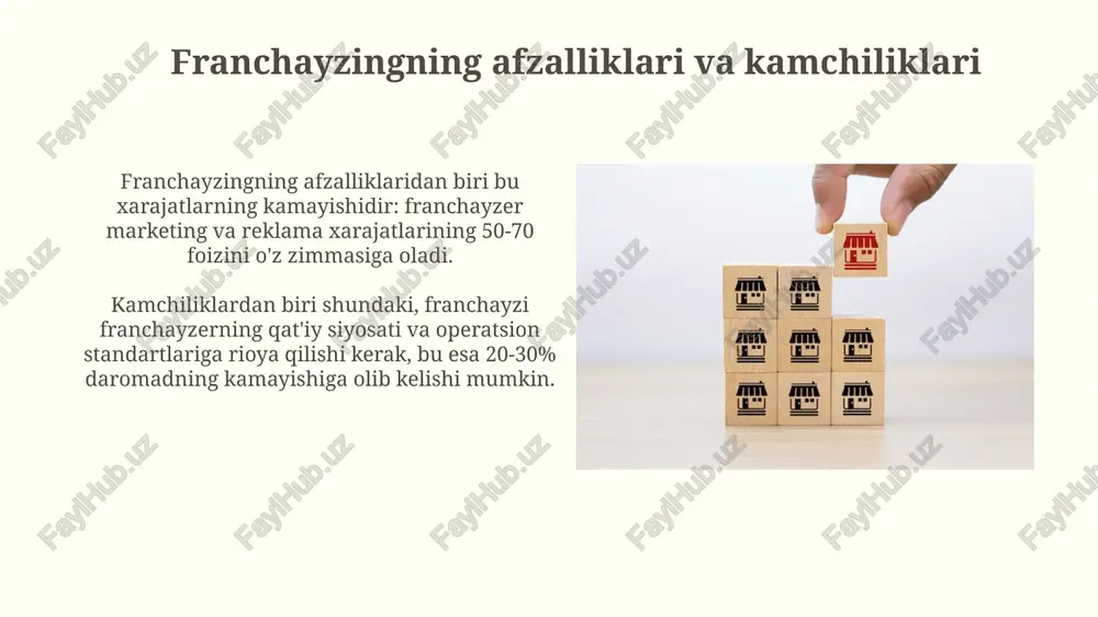 franchayzing modeli - Page 4