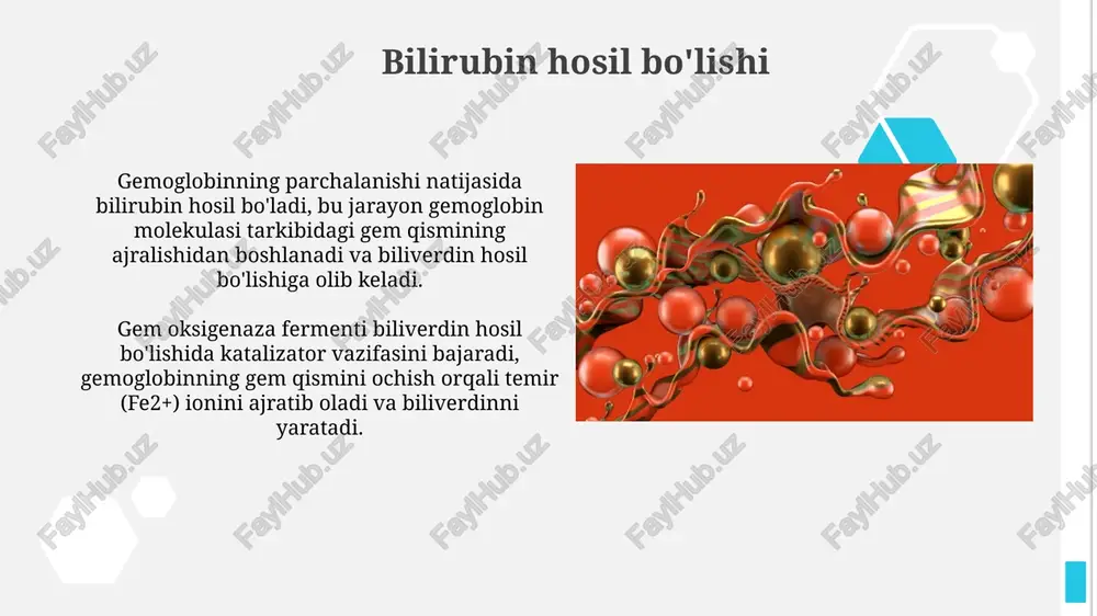 gepatit yoki toksin ta'sirida, jigar hujayralarining bilirubinni qayta ishlash qobiliyatini buzishi giperbilirubinemiyaga olib kelishi mumkin. o't yo'llarining obstruktsiyasi, masalan, o't toshlari yoki o'smalar tufayli, bilirubinning ichakka chiqarilishini bloklaydi va qonda uning miqdorini oshiradi. giperbilirubinemiyani davolash fototerapiya - giperbilirubinemiyani davolashning keng tarqalgan usuli bo'lib, bilirubinni suvda eruvchan shaklga aylantirib, uni organizmdan chiqarilishini osonlashtiradi. bu jarayon 420-470 nm to'lqin uzunligidagi ko'k chiroqni ishlatadi. qon quyish - bu og'ir giperbilirubinemiyada, ayniqsa, rezus-faktor yoki abo mos kelmasligi natijasida yuzaga kelgan hollarda qo'llaniladi. bu chaqaloqning qonini donor qoni bilan almashtirish orqali bilirubin darajasini tez pasaytirishga yordam beradi. xulosa bilirubin metabolizmining yakuniy bosqichi - bu safro pigmentining siydik va najas orqali chiqarilishi bo'lib, u organizmdagi bilirubinning umumiy muvozanatini ta'minlash uchun juda muhimdir. jigar kasalliklari bilirubin metabolizmining buzilishiga olib kelishi mumkin, bu esa giperbilirubinemiya va sariqlik kabi klinik ko'rinishlarga sabab bo'ladi, shuning uchun 0 dan 30 gacha bo'lgan normal bilirubin darajasini saqlash kerak. e'tiboringiz uchun rahmat image2.jpg …