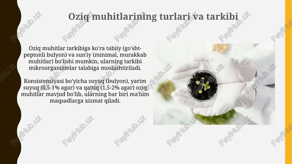 mikroorganizm uchun oziq muhitlar - Page 4