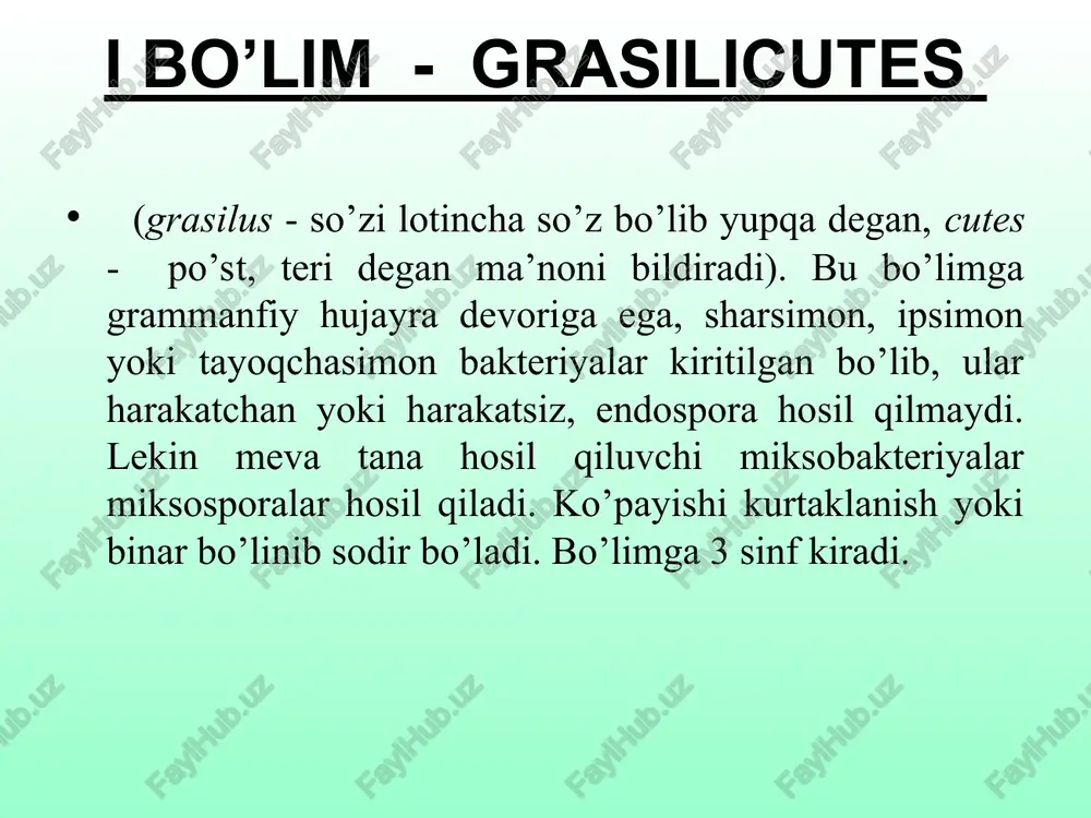 berdjiani klassifikatsiyasi - Page 4