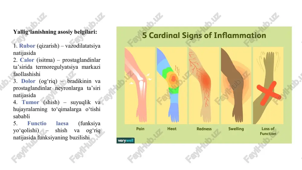 lari yordamida amalga oshiriladi. • ikki asosiy sog turi mavjud: sog -1 va sog -2. prostaglandinlar (pgs) yallig‘lanish jarayonining muhim qo‘zg‘atuvchilari bo‘lib, og‘riq va isitmani yuzaga keltiradi. ammo sog‘lom to‘qimalarda ular keng qamrovli, “normal fiziologik funksiyalari” deb ataladigan, hujayraning normal ishlashiga zarur bo‘lgan ko‘plab vazifalarni bajaradi. pglar vazifalari: • yallig‘lanishda: og‘riq, isitma, shish. • sog‘lom to‘qimalarda: hujayra bo‘linishi, termoregulyatsiya, qon ivishi, yurak-qon tomir faoliyati, ishtaha, oshqozon shilliq qavatini himoya qilish, silliq mushak qisqarishi, og‘riq mexanizmi. 2. sog fermentlari: • sog -1: ushbu ferment ko‘plab normal fiziologik jarayonlarda ishtirok etadi, masalan, oshqozon-ichak trakti shilliq qavatini himoya. • sog -2: bu ferment yalligʻlanish jarayonida ko‘proq faollashadi va yalligʻlanish, ogʻriq va isitma kabi simptomlarning rivojlanishiga yordam beradi. pg—og’riq va yallig’lanishda shikastlangan to‘qimalarda fosfolipaza a2 va cox-2 darajasi tezda oshadi, natijada prostaglandinlar ishlab chiqarilishi keskin ko‘payadi. yallig‘lanishda ishlab chiqariladigan asosiy prostaglandin — pge2 bo‘lib, u qon tomirlarni kengaytiradi, ularning o‘tkazuvchanligini oshiradi va og‘riq retseptorlarini …