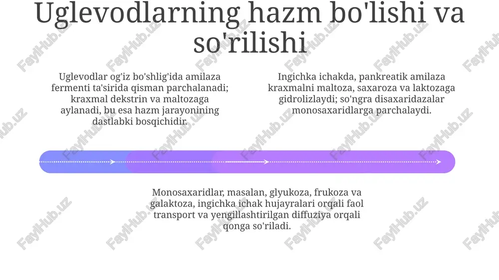 uglevodlar almashinuvi va funksiyalari - Page 4