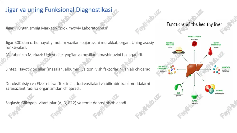 jigar funksional testlari - Page 4