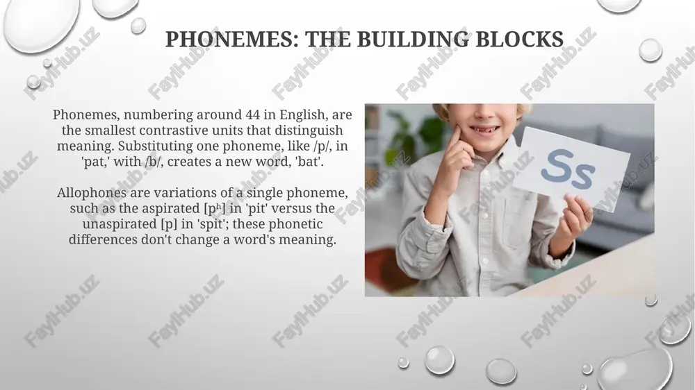 phonological level - Page 4
