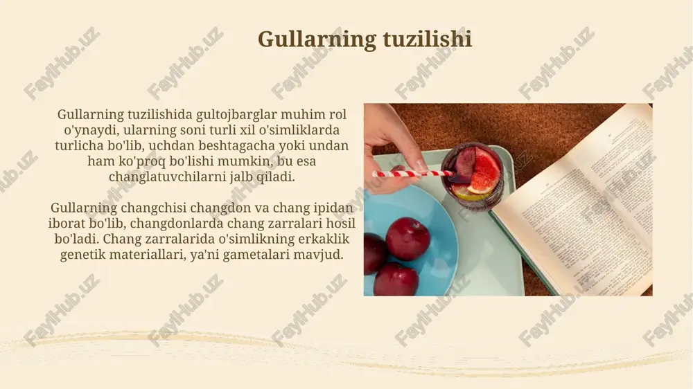 tarqalishida muhim rol o'ynaydi, ular mevalarni iste'mol qiladi va hazm bo'lmagan urug'larni boshqa joylarga tarqatadi, bu esa o'simliklarning yangi hududlarda o'sishiga yordam beradi. gullar, mevalar va urugʻlarning ekologik ahamiyati gullar, mevalar va urugʻlar ekotizimda muhim rol oʻynaydi, 80% gulli oʻsimliklar changlanish uchun hasharotlarga bogʻliq boʻlib, oziq-ovqat zanjirini qoʻllab-quvvatlaydi. mevalar va urugʻlar 90% oʻsimliklarning tarqalishida yordam beradi, hayvonlar tomonidan isteʼmol qilinib, yangi hududlarga koʻchiriladi va biologik xilma-xillikni saqlaydi. xulosa va savollar xulosa qismida 3-4 ta asosiy fikrlarni birlashtirib, mavzuning mohiyatini 25-35 so'z bilan qisqacha ta'kidlang. savollar sessiyasida 5-7 daqiqa ajratib, auditoriyadan olingan 2-3 ta savolga aniq va to'liq, 20-30 so'z bilan javob bering. e'tiboringiz uchun rahmat image2.png image3.jpg image4.jpg image5.jpg image6.jpg image7.jpg image8.jpg image9.jpg image10.jpg image11.jpg image12.jpg image13.jpg image14.jpg image15.jpg image16.jpg image17.jpg image18.jpg image19.jpg