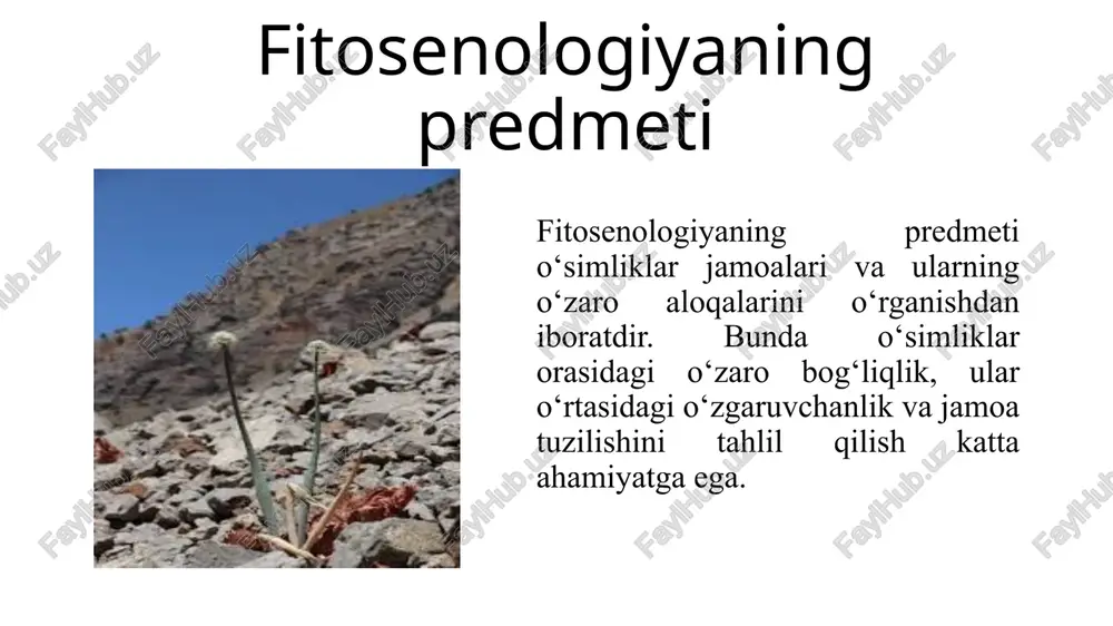 tashkent: o‘zbekiston yoshlar nashriyoti. shayxov, b. (2015). "ekologiya va fitosenologiya". tashkent: farg‘ona davlat universiteti nashriyoti. yusupov, m. (2013). "fitosenologiya va biologiya". tashkent: universitet nashriyoti. muminov, o., & kamilov, b. (2017). "ekologiya va fitosenologiyaning asosiy tamoyillari". samarqand: samarqand davlat universiteti nashriyoti. batyrov, m. (2012). "vegetatsiya va ekotizimlar". tashkent: o‘zbekiston ilmiy nashriyoti. berman, a. (2010). "vegetation science in practice". springer science & business media. müller, g. (2015). "ecology of plant communities". oxford university press. harrison, p. (2011). "plant ecology: an evolutionary approach". wiley-blackwell. hobbs, r.j., & harris, j.a. (2001). "restoration ecology: repairing the earth's ecosystems in the new millennium". restoration ecology, 9(2), 239-246. image1.jpeg image2.jpeg image3.jpeg image4.jpeg image5.jpeg /docprops/thumbnail.jpeg