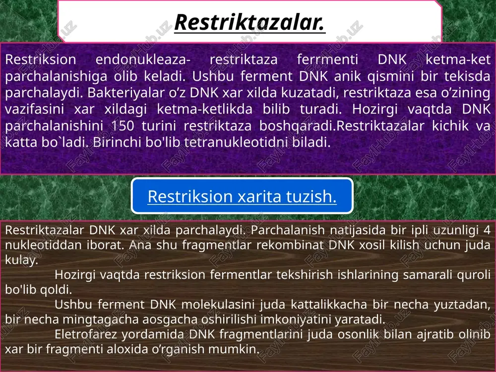 iga kirgiziladi. u yerda plazmida ko’payadi. oligonukleotidlarning ximiyaviy sintezi. dnkning spesifik klonlarini identifikasiyalash. yuqorida ko’rsatilgan operasiyalar tartibini mrnkning aralash pulyasiyasi bilan olib borsak (odatda amalda xuddi shunday bo’ladi, chunki gomogen mrnk olish qiyin) reaksiya mahsuloti ham kdnk aralashmasi bo’ladi. lekin tajribani shunday tashkil etish mumkinki har bir bakteriya hujayrasi bitta rekombinant kdnkli plazmidani olishi mumkin. natijada bu hujayra va uning avlodi faqat bir tur kdnkni ega bo’ladi. keyingi muammo bu endi hujayra qanday kdnkni olganining aniklashdan iborat. buning uchun bakteriyaning aloxida koloniyasi olinadi va undan juda toza gomogen kul’tura olinadi. so’ngra bu genetik bir jinsli hujayralarning klonial populyasiyasidan kdnkli plazmida bori ajratiladi va ular denaturasiyalanadi. bunda dnk zonjiri ajraladi. denaturasiyalangan dnkni nitroselyulozali fil’trlarda immobilizasiyalash mumkin. bu fil’tlar orkali mrnk aralashmasi o’tkazilganda fil’trda faqat shu kdnkga komplementar molekulalar ushlanib koladi. so’ngra birikkan mrnkni fil’trdan ajratib hujayrasiz sistemaga qo’shib translyasiyalash mumkin. bunda sintezlanadigan oqsil kdnkga spesifik bo’lib uni identifikasiyalash mumkin. bu ishlar …