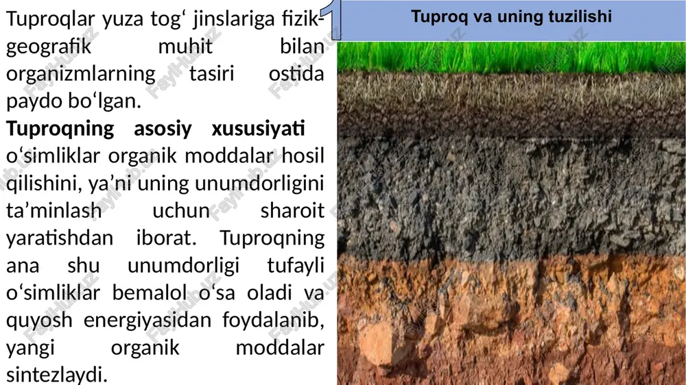 ; qo‘shimcha ildizlar hosil qilishi; transpiratsiyani kamaytirish yo‘llaridan biri mayda barglilik va bargsizlik (afilliya) dir. substrat harakatchan bo‘lgani uchun, odatda, psammofitlar anemoxorlar bo’lishi. substratning mexanik xususiyati qoyalarda, sochilmalarda, toshloqlarda o‘sadigan o‘simliklar (litofitlar) ga ham katta ta’sir ko‘rsatadi. ildizlar o‘sishi mumkin bo‘lmagan qoyalar va toshlar yuzasida birinchi navbatda epifit o‘simliklar, mikroorganizmlar, suvo’tlar, lishayniklar o‘sadi, ular uzoq davom etadigan biologik nurashga sabab bo‘ladi. agar qoya va toshlarda yoriqlar bo‘lsa, ayniqsa tuproq bilan to‘lgan bo‘lsa, u yerda xasmofit o‘simliklar o‘sadi. nihoyat, harakatchan tog‘ sochilmalarida substratning harakatchanligiga moslashgan xilma-xil o‘simliklar turi o‘sadi. bu xildagi o‘simliklar sochilmalarni asta-sekin mustaqkamlaydi, harakatini to‘xtatadi va keyinchalik mayda tuproq zarrachalari to‘plangandan keyin u yerda butalar va o‘tlar o‘sadi. tuproqning kimyoviy xossalarining ekologik ahamiyati tuproqning fizik yoki kimyoviy xossalaridan qaysi biri o‘simliklar hayotida hal qiluvchi ahamiyatga ega ekanligini aniqlashda tuproqning bir xossasini boshqasidan ajratish qiyin, ya’ni bunda o‘simliklar uchun zarur bo‘lgan tuproq ekologik sharoitining butun kompleksini hisobga olish zarur bo‘ladi. …