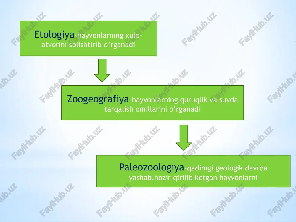 vazifalaridan biri hisoblanadi. bu muammo esa o’z navbatida tur hosil bo’lishi va tur strukturasi masalasi bilan bevosita bog’langan. biostenozlar va ularning barqarorligini o’rganish ham ekologiyaning eng muhim yo’nalishi hisoblanadi. hozirgi davrda zoologiya sohasidagi eng asosiy muammolar hayvonot dunyosi biologik xilma-xilligini hamda endemik, noyob va soni kamayib borayotgan turlarni saqlab qolish va ko’paytirish bilan bog’liq. o’zbekistonda zoologiyaning rivojlanishi. o’zbekistonda ilk zoologik tadqiqotlar 11 asrda yashab o’tgan sharqning buyuk allomalari nomi bilan bog’liq. abu rayxon beruniy 101 hayvon turi va ulardan olinadigan dori-darmonlar to’g’risida yozib qoldirgan. uning “hindiston” asarida bu o’lka hayvonlari to’g’risida ma’lumot beriladi. abu ali ibn sinoning “kitob ash-shifo” asarida odam parazit gelmintlari to’g’risida yozilgan. bu asardagi ayrim gelmintlar (qovoqsimon qurt, mitti qurt) nomi hozirgi sistematikada ham saqlanib qolgan. o’rta osiyo, jumladan o’zbekiston hayvonot dunyosini o’rganish bo’yicha maxsus ilmiy tadqiqotlar 19 asrning ikkinchi yarmidan boshlandi. rus olimi n.a.severstov ilk bor orol dengizi, ustyurt, qizilqum, sirdaryo, pomir, tyanshan hayvonlarini; a.p.fedchenko oloy …