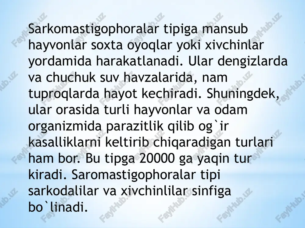 orat skeleti bor. nursimonlar nobud bo`lgandan keyin ularning skeleti dengiz tubiga cho`kib, tog` uni (trepel) deb ataladigan cho`kma hosil qiladi. trepel jilvir qog`ozlar tayyorlash va metallarga ishlov berishda ishlatiladi. dengizlarda sarkodalilardan foraminiferalar (foraminifera) turkumining vakillari ayniqsa ko`p uchraydi. ular dengiz tubida va planktonda muallaq hayot kechiradi. foraminiferalarning chig`anog`i ohak moddadan hosil bo`lgan bir yoki bir necha kamerali spiralsimon yoki konus shaklida bo`ladi. orol dengizida foraminiferalarning ikki turi uchraydi. ayrim turlari qizilqumdagi sho`r suvli quduqlardan ham topilgan. foraminiferalar mezozoy erasidagi dengizlar suvida ayniqsa ko`p uchraydi. ular chig`anog`ining qoldig`i dengiz tubiga to`planib, ohaktosh hosil qilgan. hozirgi bo`r konlari ham asosan foraminiferalar chig`anog`idan hosil bo`lgan, degan taxminlar bor. xivchinlilar sinfi o’simliksimon xivchinlilar kenja sinfi hayvonsimon xivchinlilar kenja sinfi xivchinlilar (mastigophora) sinfi bu sinfga mansub hayvonlar sitoplazma o`simtasidan hosil bo`lgan bitta yoki bir nechta xivchinlar yordamida harakatlanadi. ko`pchiligida xivchin bittadan, ba'zan ikkita yoki undan ham ko`proq bo`lishi mumkin. xivchinlilarning hujayrasi organik moddadan iborat qobiq …